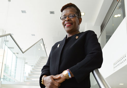 New Year Honours for teachers, ice skating judge, Buddhist and nursing chief cecilia anim