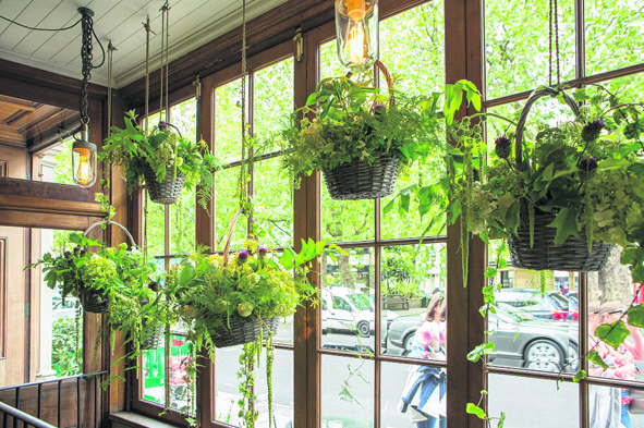 Blooming looming Belgravia in Bloom 2016