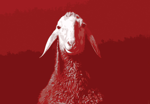 Spring Offensive Sheep