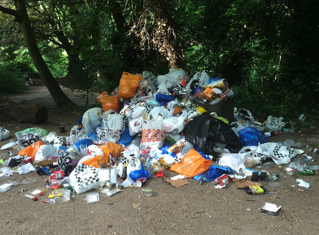 BINS Hampstead Heath 2017