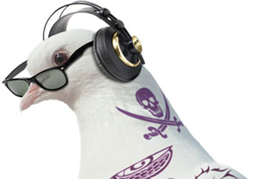 Julie Tomlin’s theatre news: Catch Camden Fringe! Camden Fringe pigeon logo
