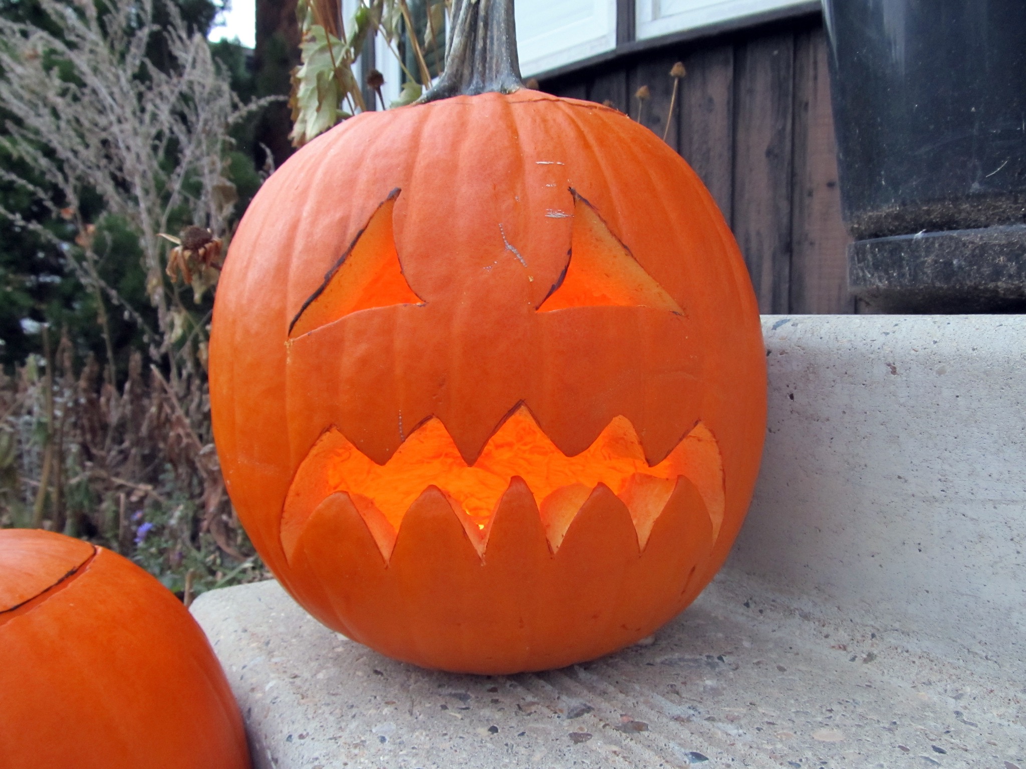 pumpkin credit: Daryl Mtchell