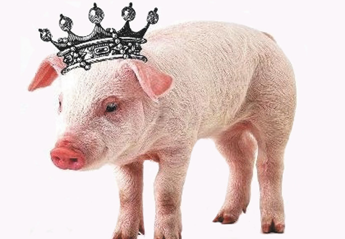 The Enchanted Pig