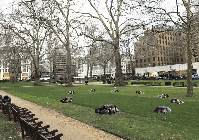 Bronze Oak Grove Berkeley Square