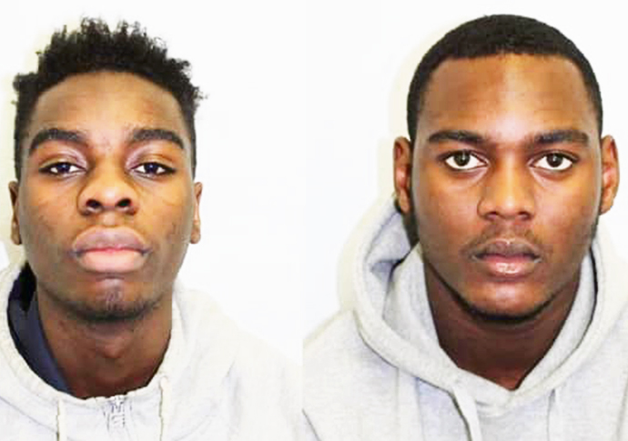 okoli l and house r