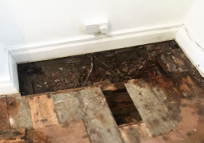 Right to Buy properties in Westminster at centre of homes probe damp 1