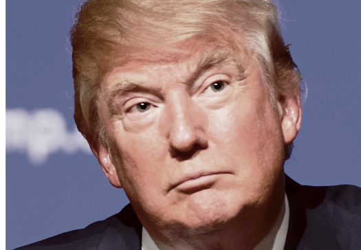 d trump