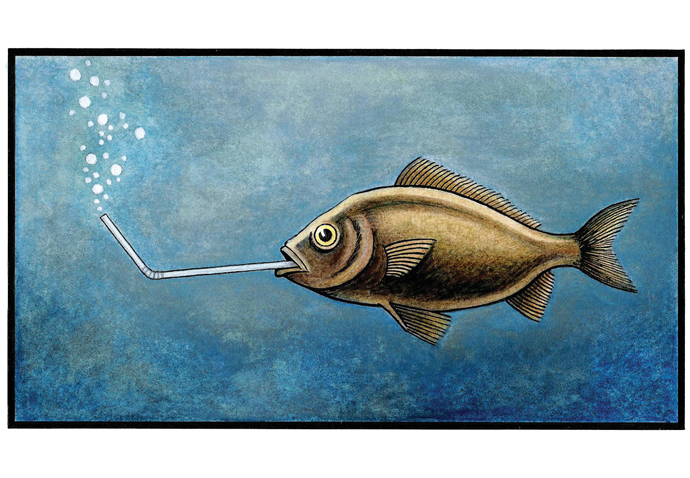 John Sadler fish cartoon