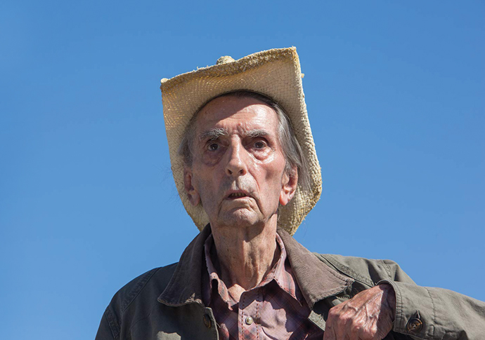 Lucky: Mesmerising, original, funny, endearing Harry Dean Stanton in Lucky