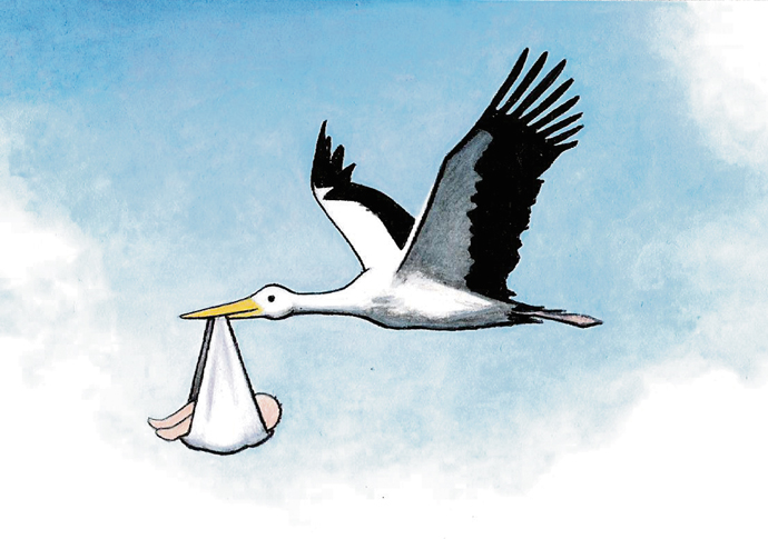 Stork cartoon