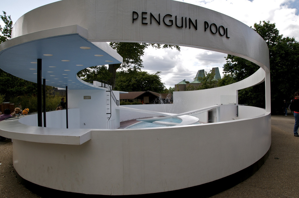 Unhappy Feet: Lubetkin daughter’s ‘sadness’ at iconic penguin pool left unused Penguin Pool CREDIT: David Hastings