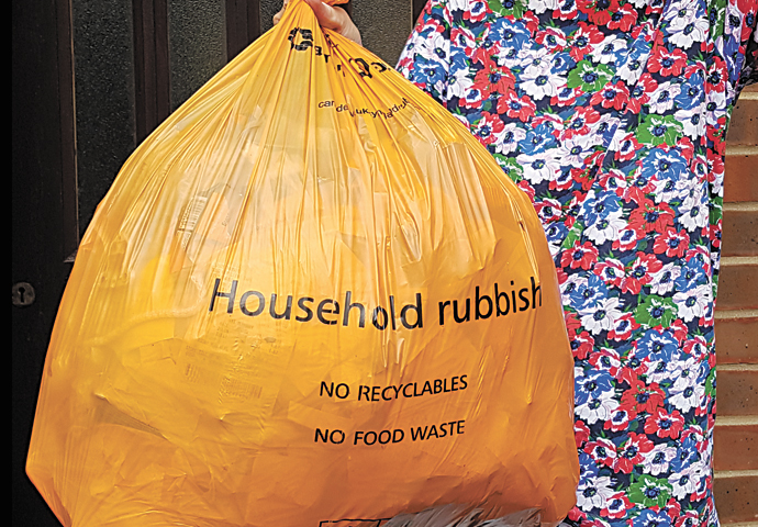 The strangely static statistics of our borough’s rubbish Bin Bags