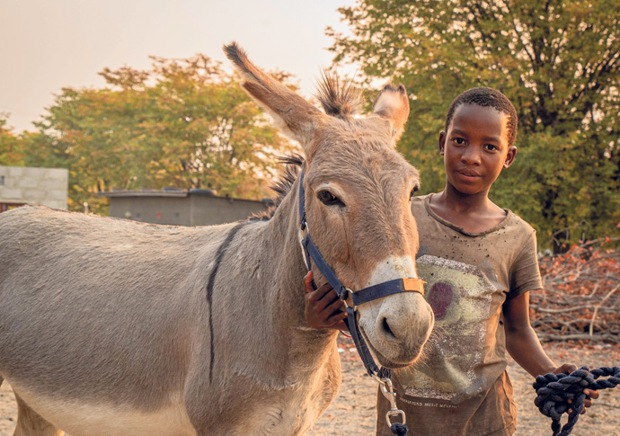 Help us for October 4 World Animal Day working animals