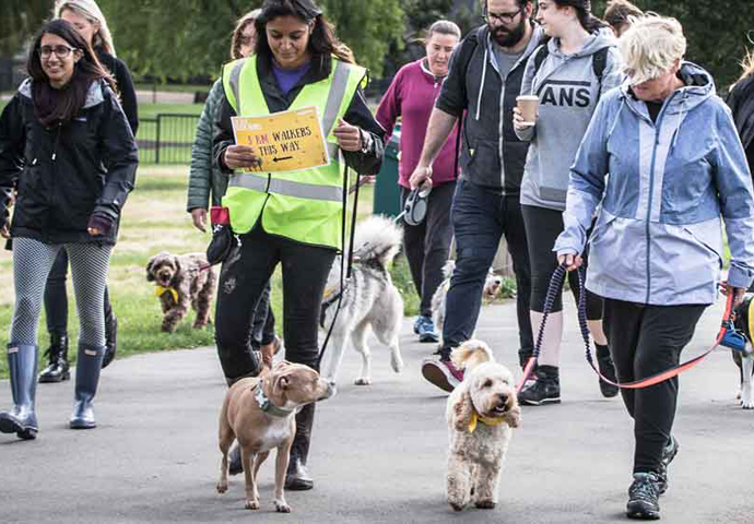 Mayhew Rescue Ramble