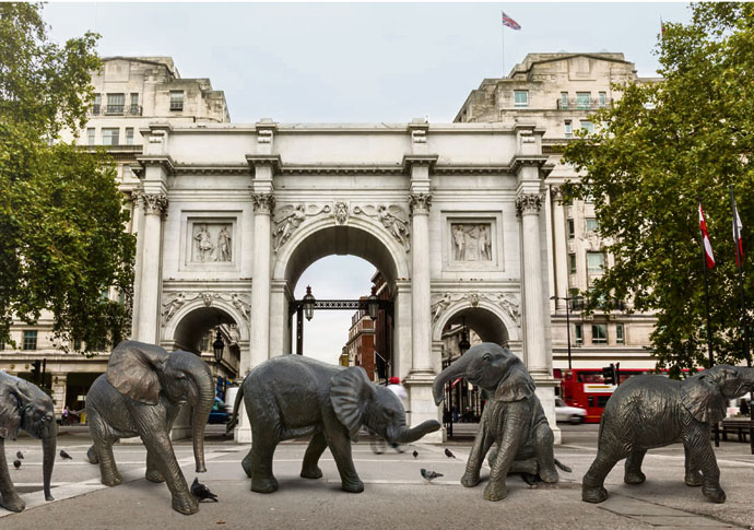 Elephants marble arch elefante