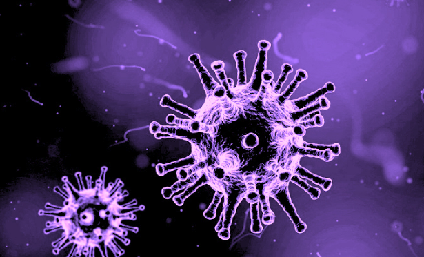 Coronavirus