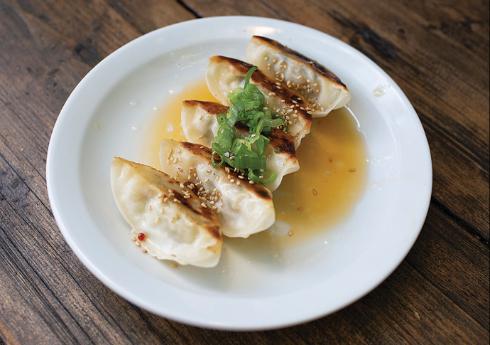 gypsy queen- gyoza