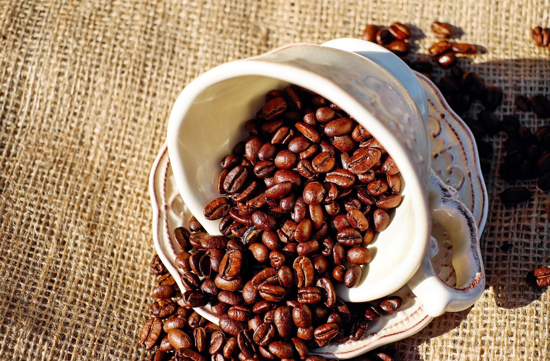 Coffee