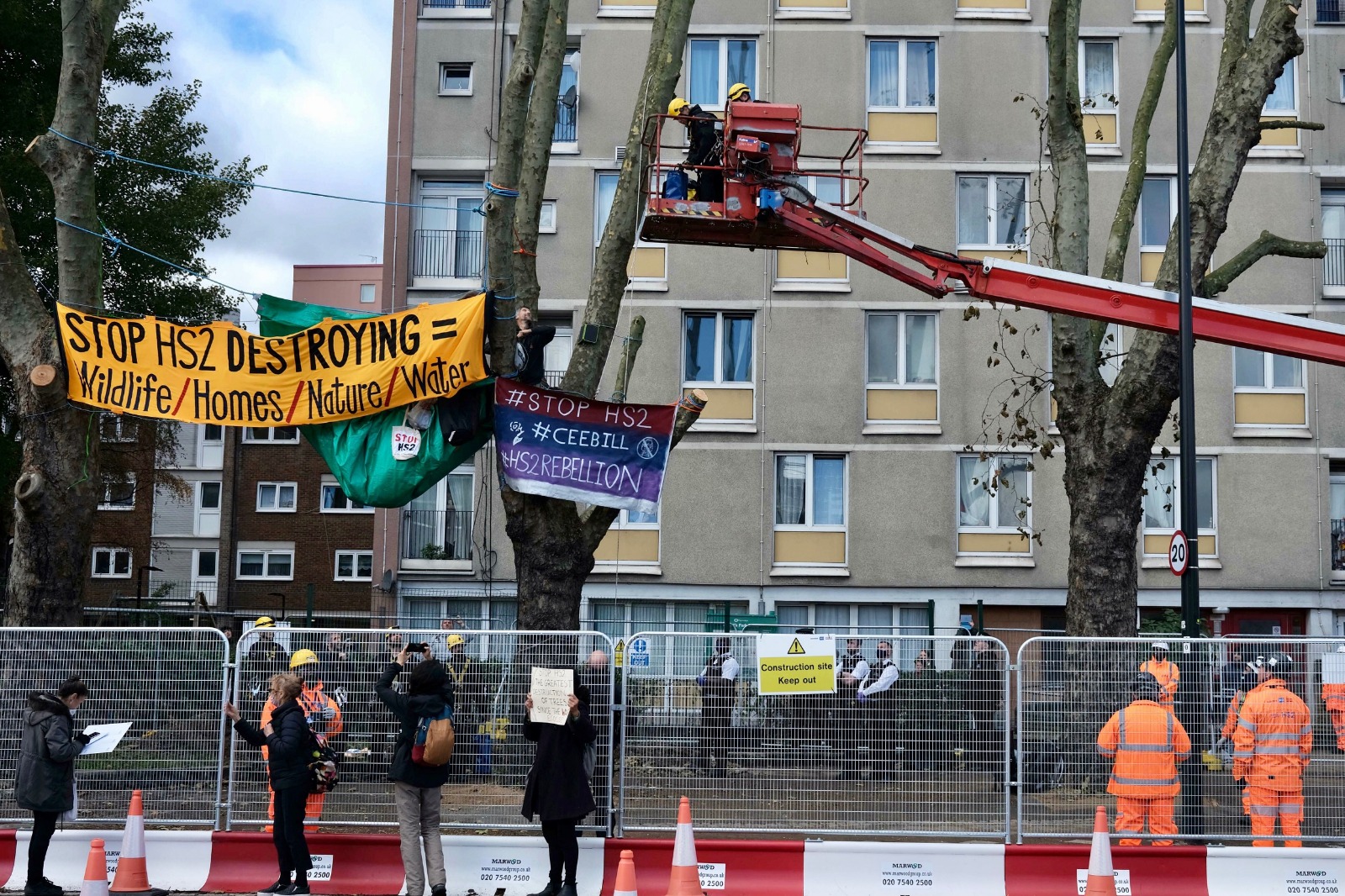 HS2’s saplings are not enough, save our trees cnj-oct15 Image 2020-10-15 at 10.55.14 (22)