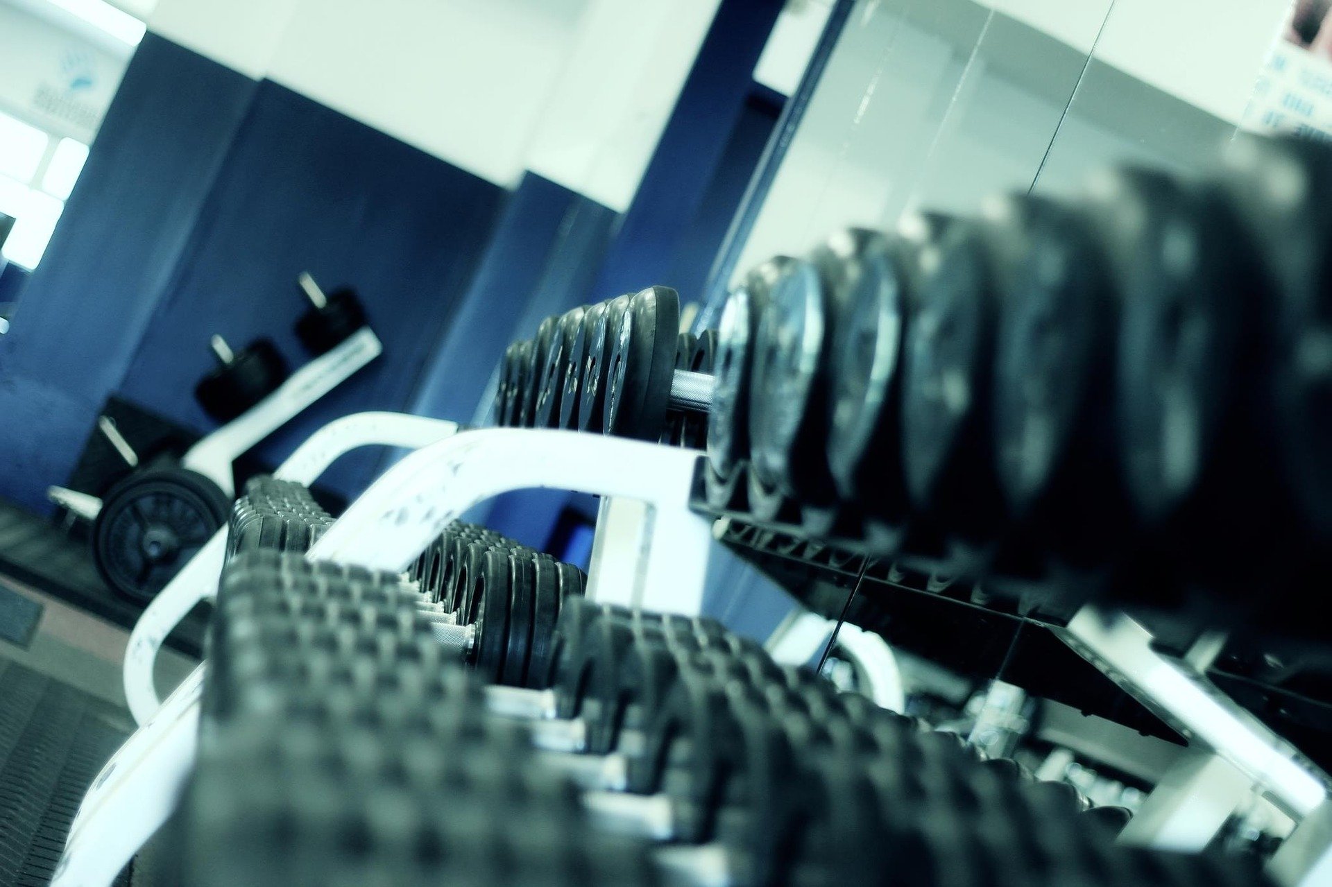 Petitioners aim to halt sale of gym Gym-Weights