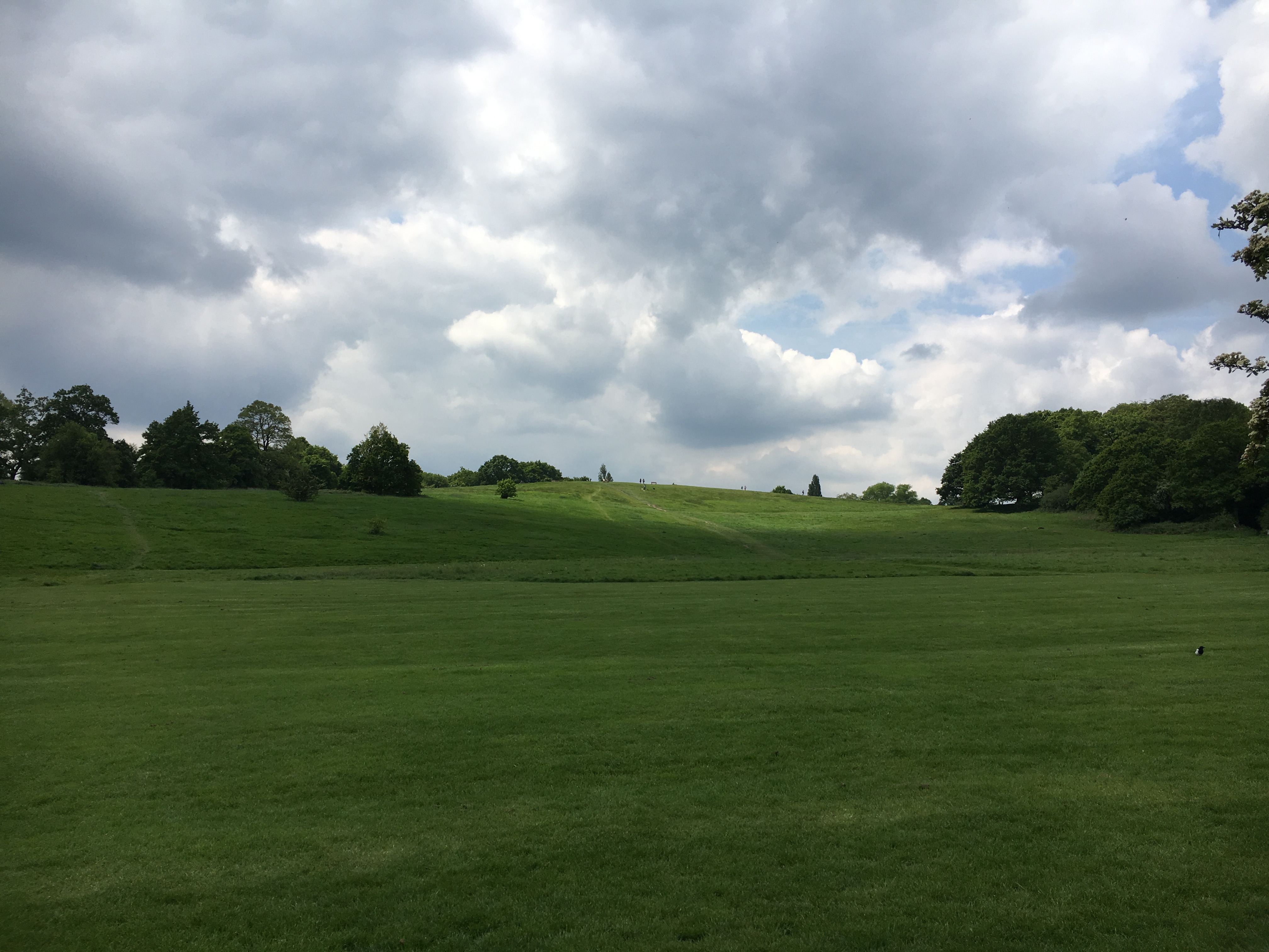 ‘Give it a go’ invite on the Heath Hampstead Heath