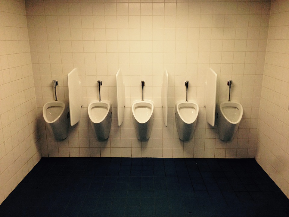 Harrington: Highlighting an inconvenient truth toilet-1740254_960_720