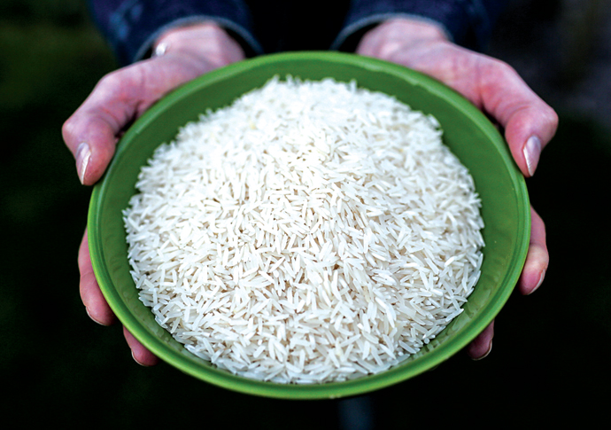 Graining champion: winning riffs on rice Rice