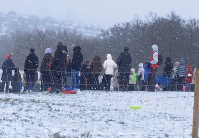 Snow crowd