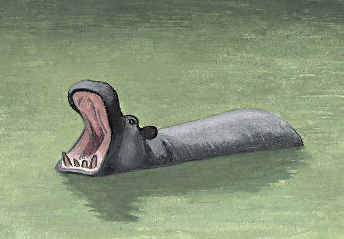 Hippo in Heath Pond