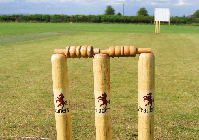Cricket stumps IMG_6466