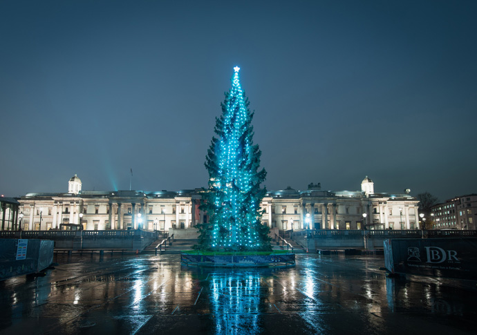 Trafalgar Square Christmas tree Leo_Cinicolo-4950