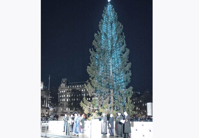Trafalgar Square tree