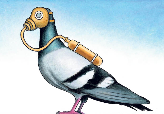 What can we do about toxic air? Pigeon cartoon_ John Sadler