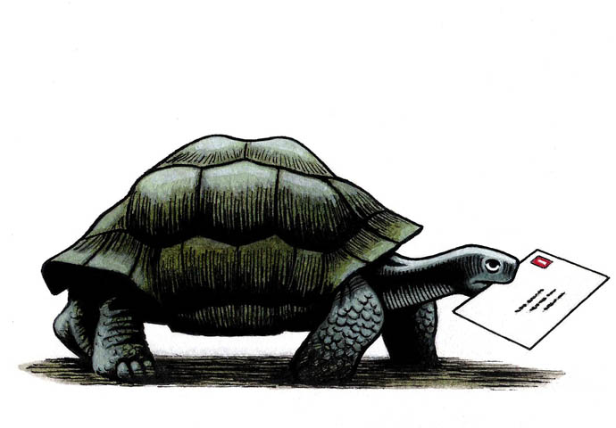 Tortoise Delivery