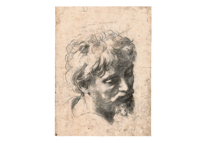 Celebration of ‘supreme High Renaissance painter’ is unlocked at last apostle