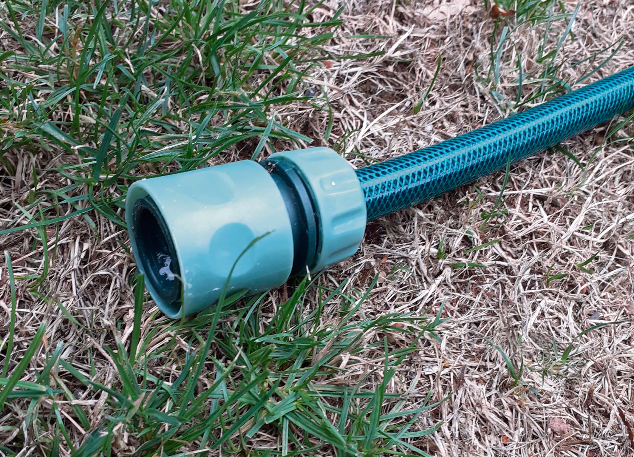 What next with our water, an outbreak of typhoid? water hosepipe ban
