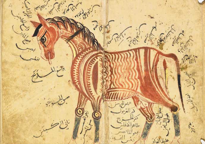 OR.1523, f.62b-f.63a