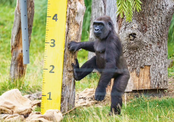 London Zoo Weigh-In 2023