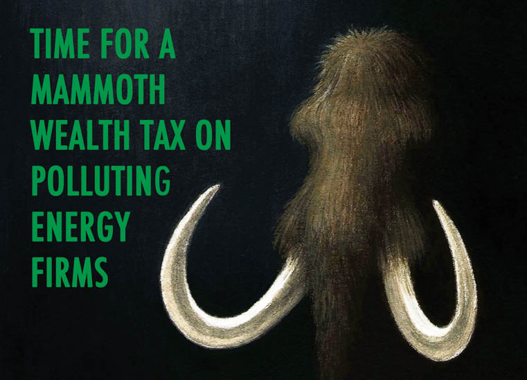 Time for a mammoth tax Sadler-Mammoth Wealth Tax