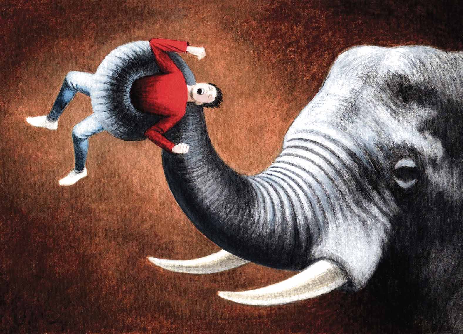 Elephant Security_John Sadler