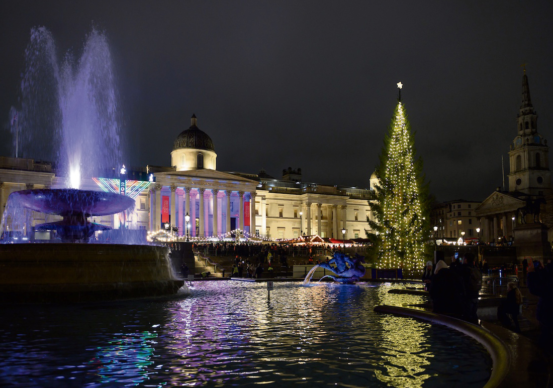 Trafalgar Square Christmas tree