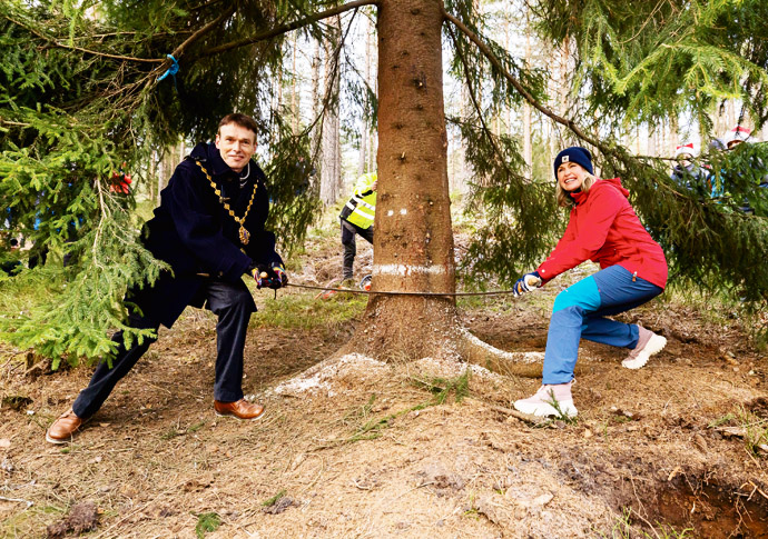 Spruce set for square Christmas tree