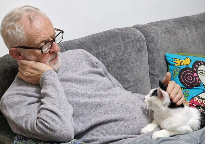 Corbyn gato