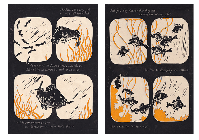 Compleat makeover: hooked by seminal book full of ‘strangeness’, folklore… and fish Compleat