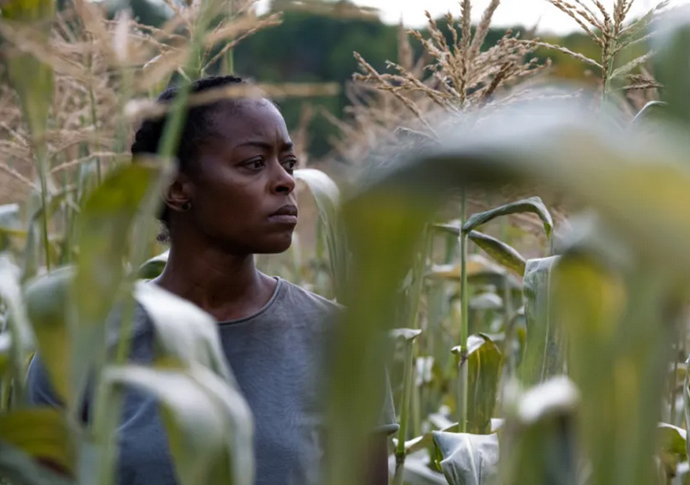 40 Acres: Cannibalism in Canada gives food for thought Danielle Deadwyler IN 40 Acres