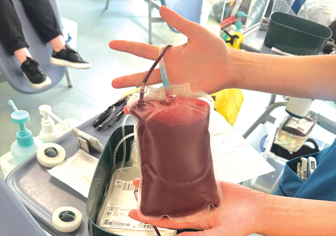 Harrington: Blood lines – do ‘something amazing’ Blood